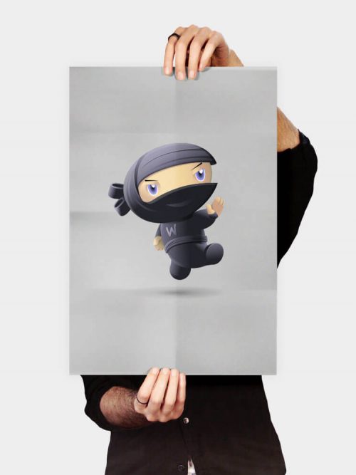 Flying Ninja