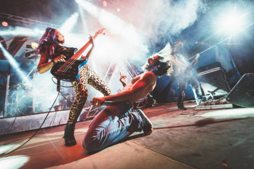 Rock and roll live group