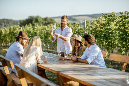 290509695 Group of a young people drinking wine and talking together while sitting at the dining table outdoors on the vineyard on a sunny evening
