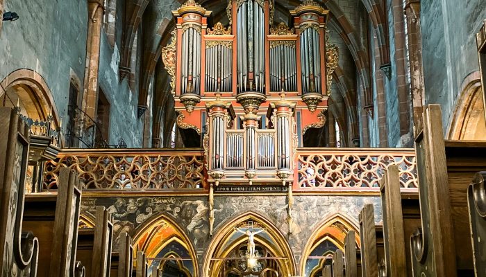 yevhenii-deshko-YRYDyiDLxQE-unsplash yevhenii-deshko-YRYDyiDLxQE-unsplash