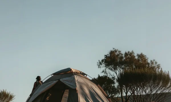 Camping Serenity Scene