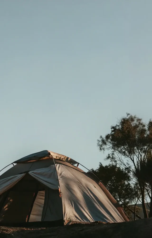 Camping Serenity Scene