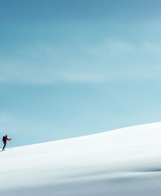 Solitude in Winters Expanse