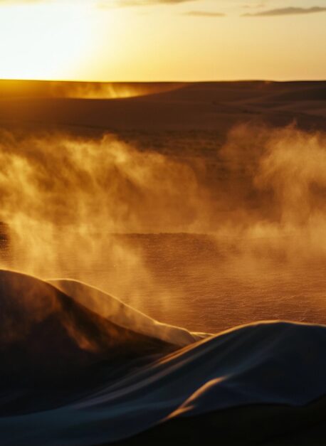 Desert Silhouette at Sunset