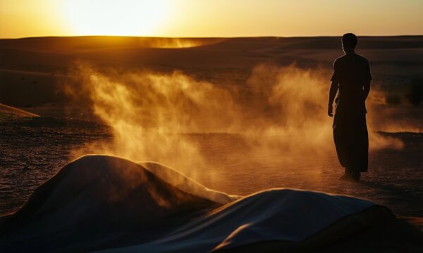 Desert Silhouette at Sunset