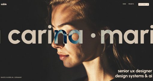 Designer-Home-–-Sable