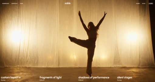 Video-Selection-–-Sable